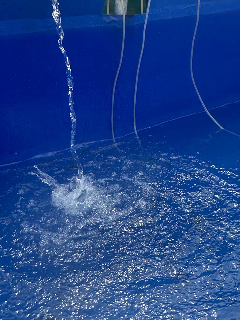 Pure Water Source